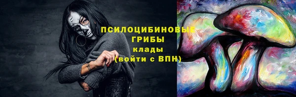 мяу мяу мука Артём