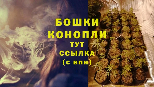 бошки Кодинск