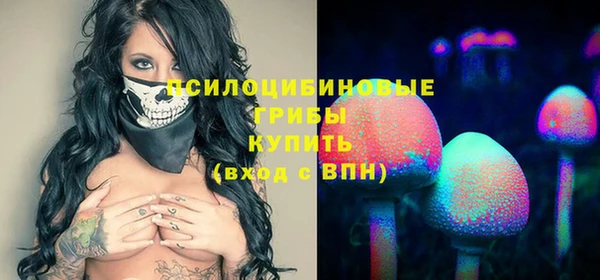 бошки Кодинск