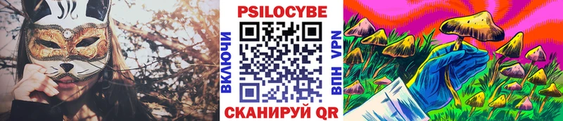 Псилоцибиновые грибы мицелий  продажа наркотиков  Киржач 